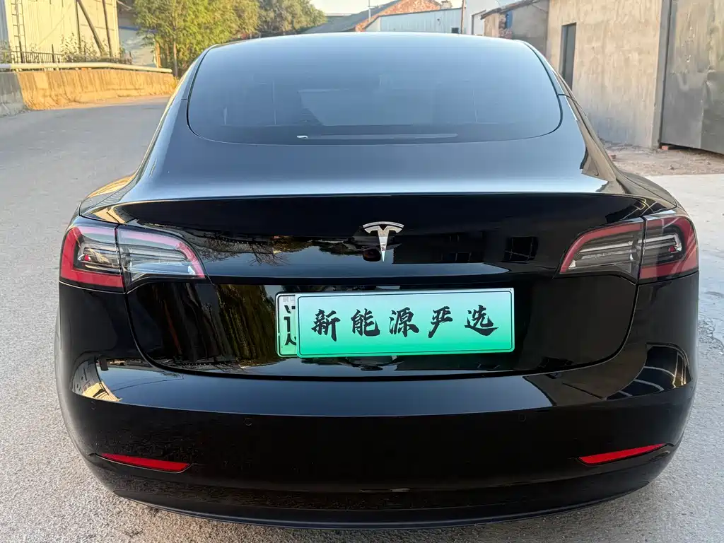 Tesla Model 3 — миниатюра 5