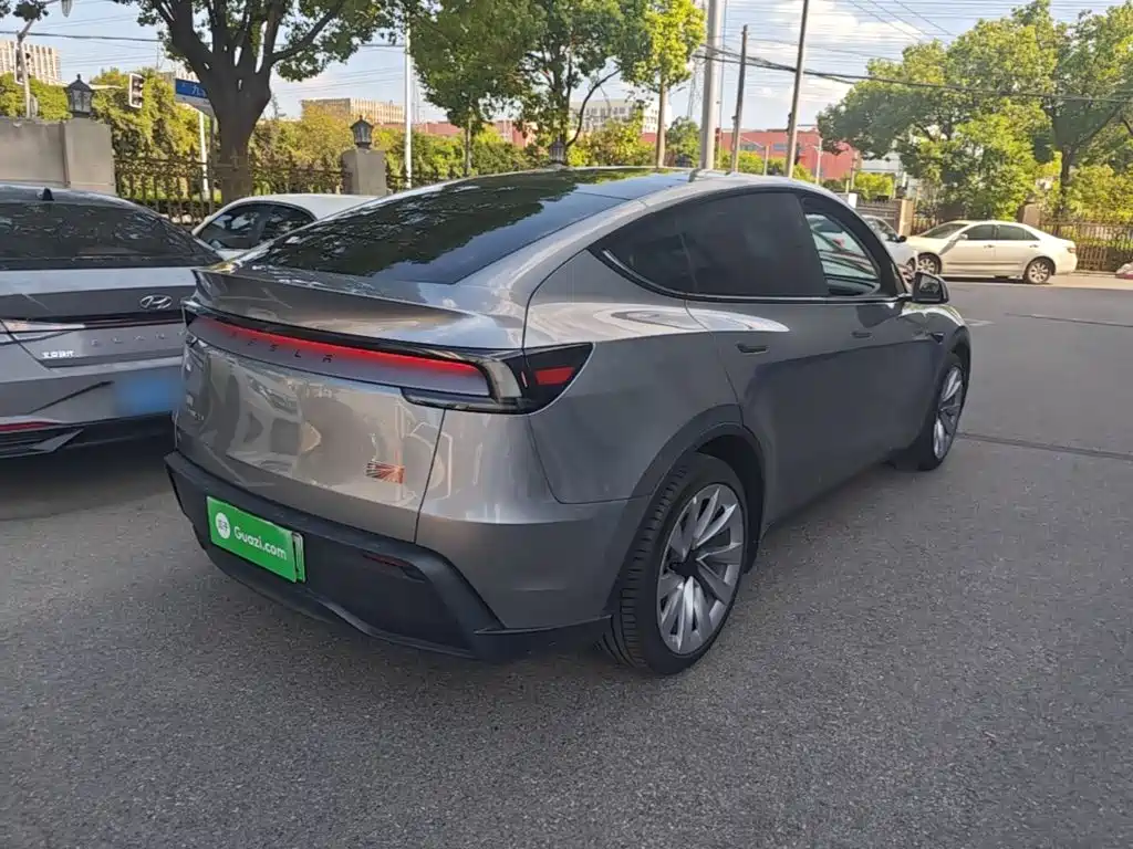Tesla Model Y — миниатюра 7
