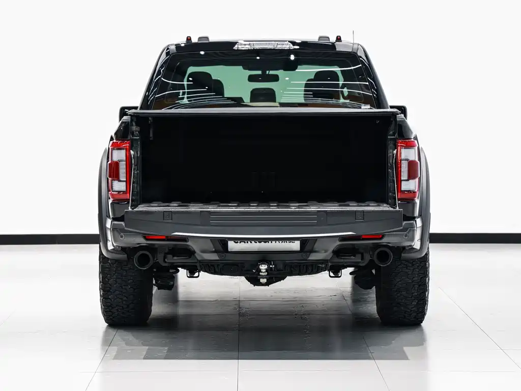 Ford F-150 Raptor — миниатюра 13