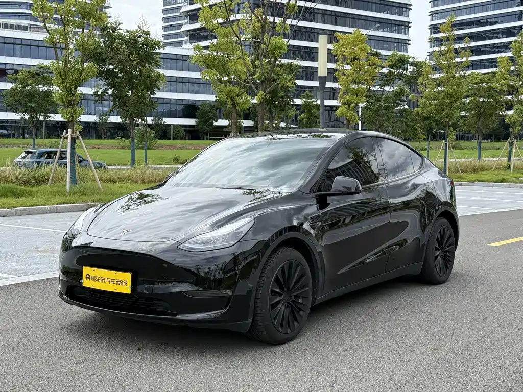 Tesla Model Y — миниатюра 3