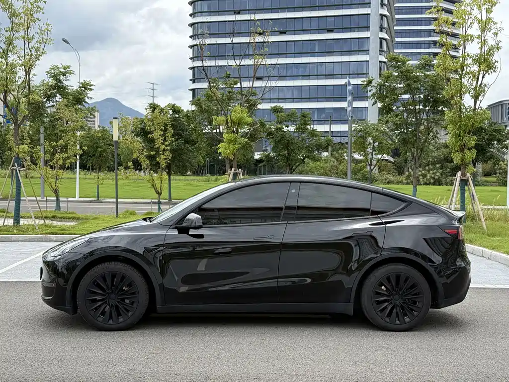 Tesla Model Y — миниатюра 5