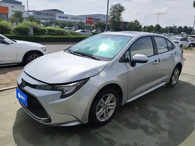 TOYOTA LEI LING 2019