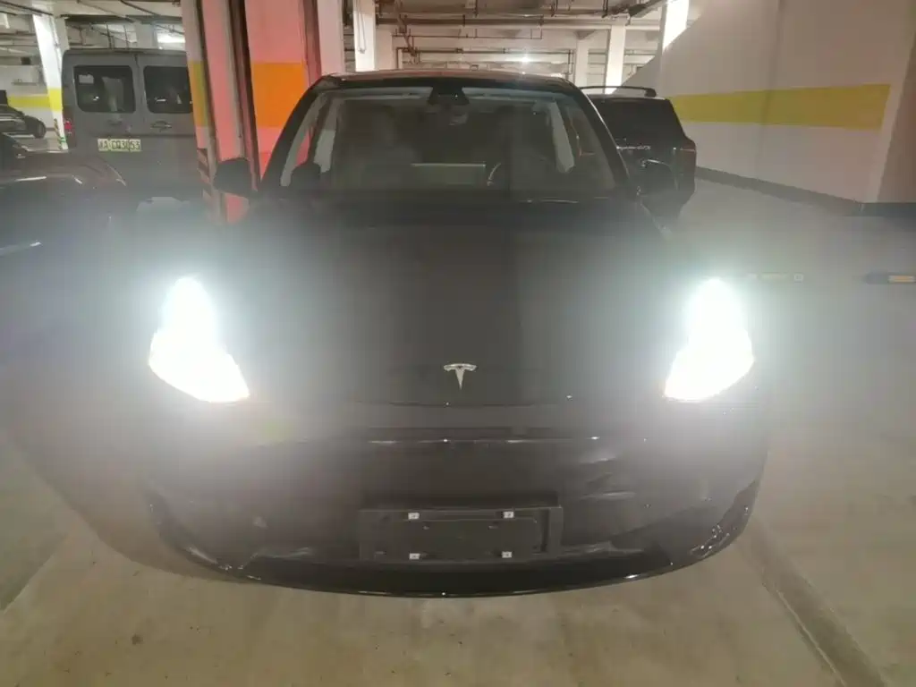 Tesla Model Y — миниатюра 3