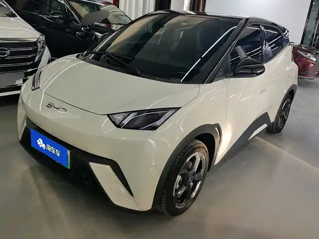 BYD SEAGULL 2024