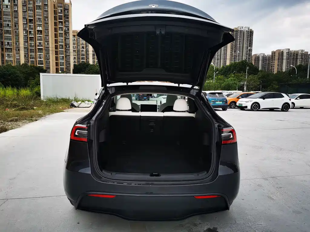 Tesla Model Y — миниатюра 13