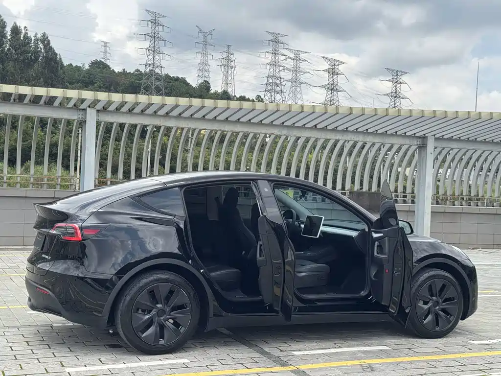Tesla Model Y — миниатюра 15