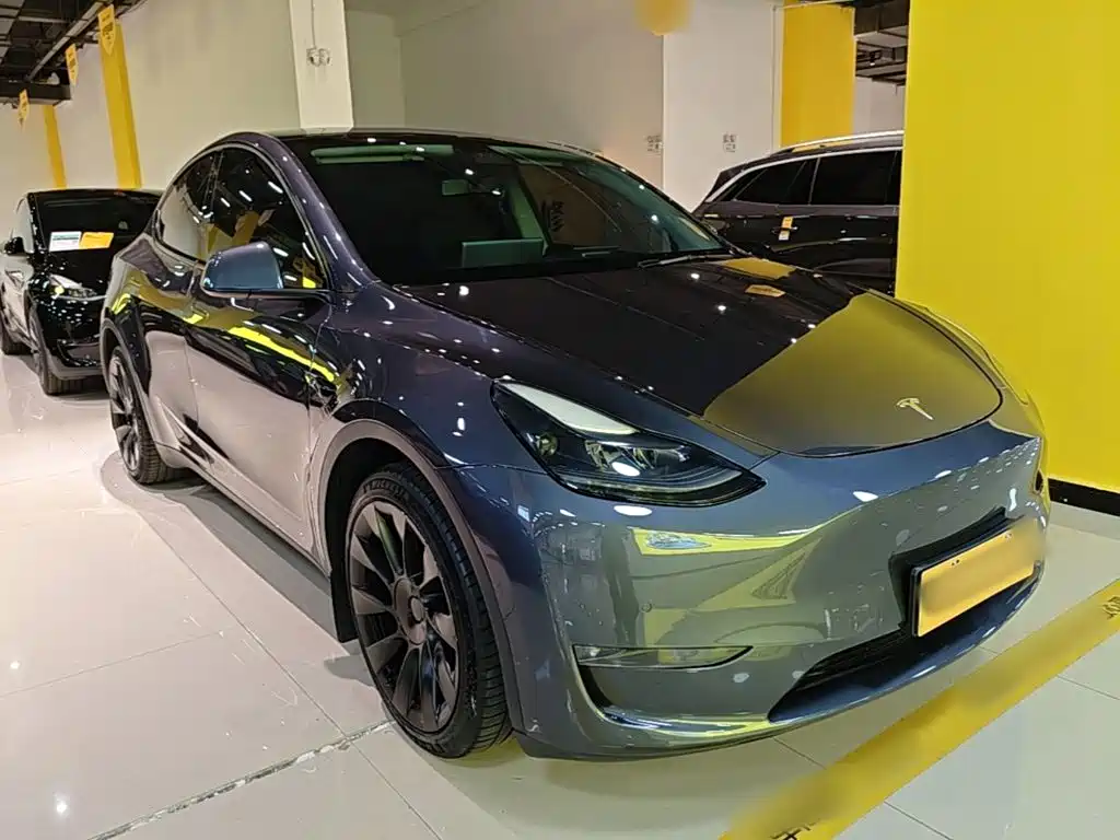 Tesla Model Y — миниатюра 4