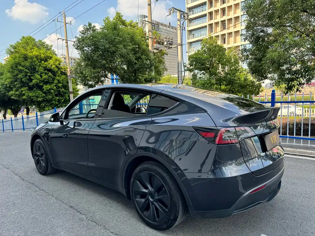 Tesla Model Y — миниатюра 4
