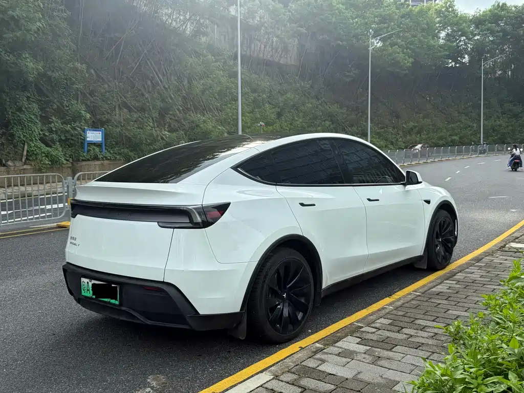 Tesla Model Y — миниатюра 16