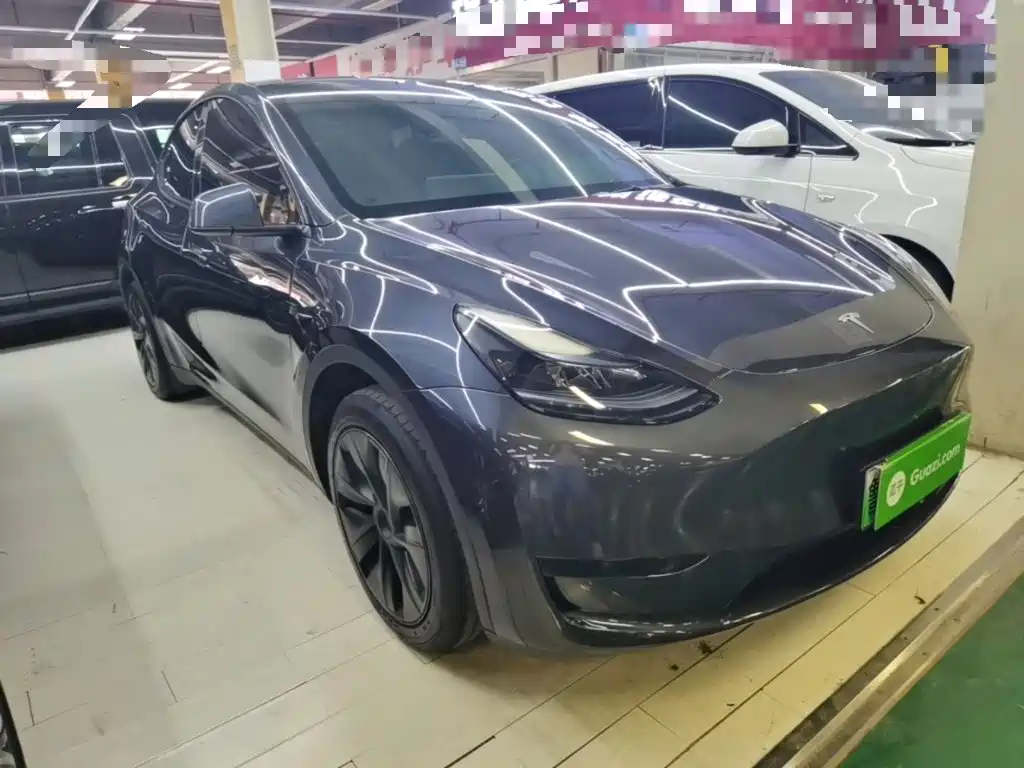 Tesla Model Y — миниатюра 4