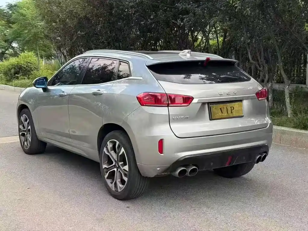 WEI PAI WEI BRAND VV7