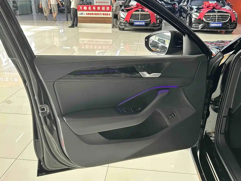 Volkswagen Magotan 2024 300TSI DSG Premium