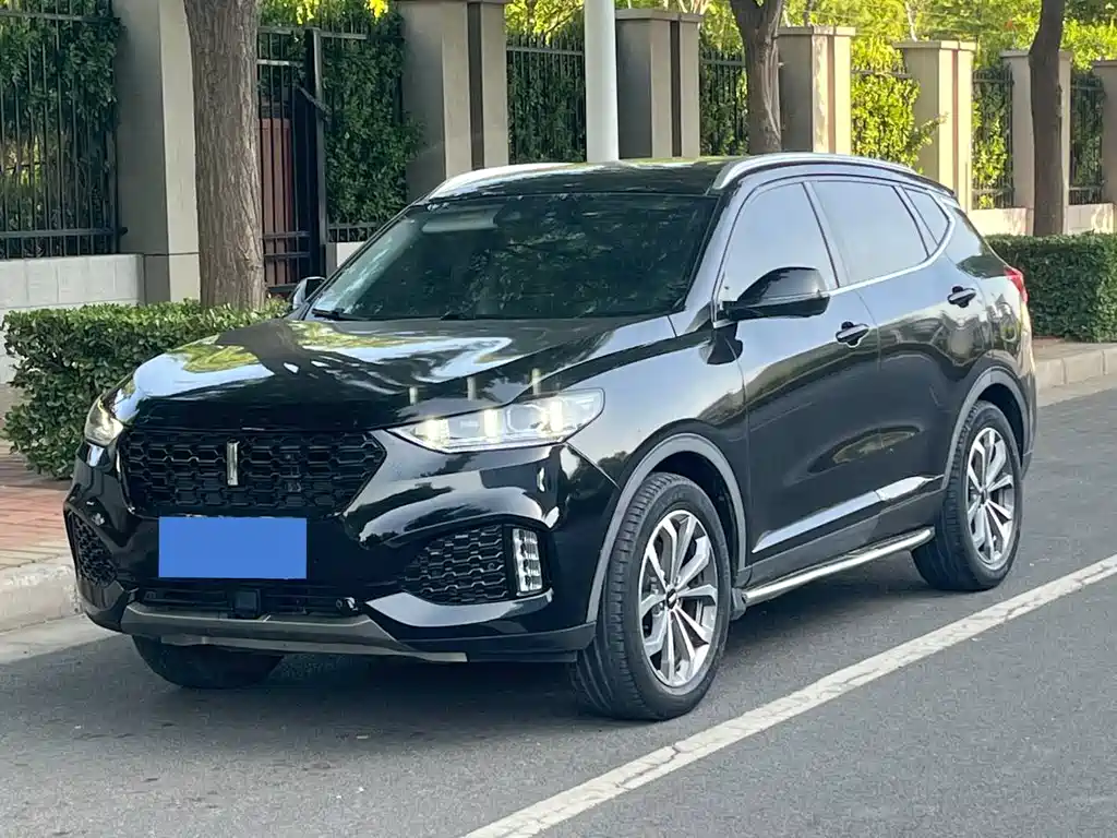 Купить Wey Wey VV6