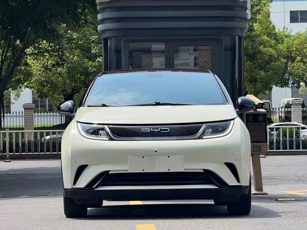 BYD Dolphin — миниатюра 2