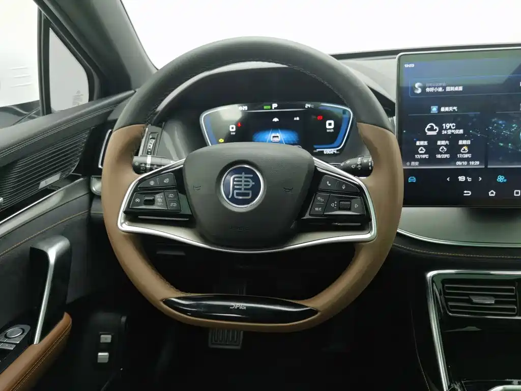 BYD Tang New Energy — миниатюра 11
