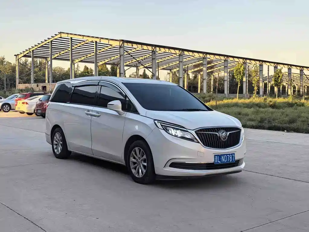 Buick GL8 — миниатюра 3