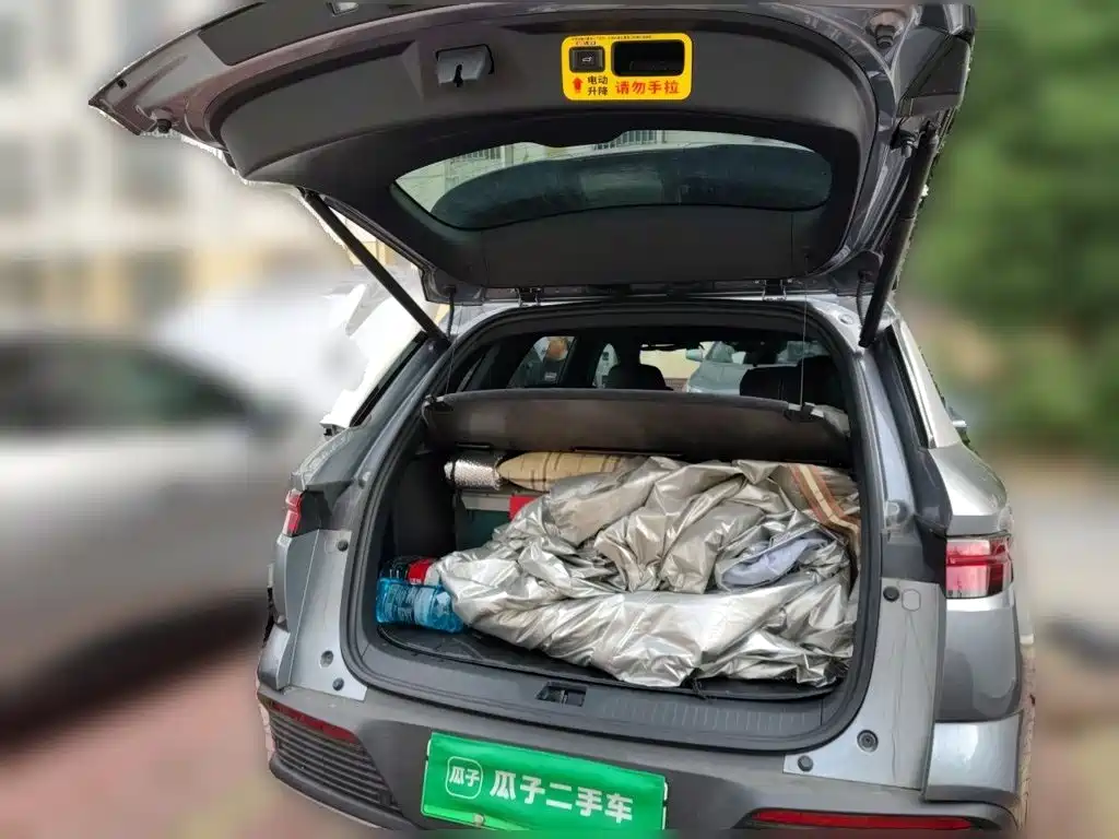 BYD Pro New Energy — миниатюра 15