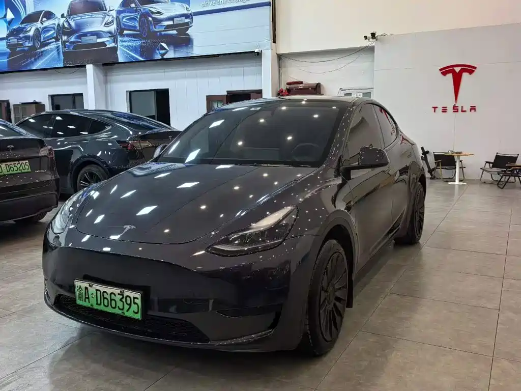 Tesla Model Y — миниатюра 3