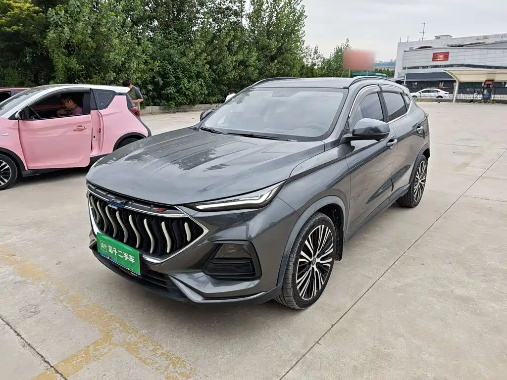 Oshan Oushang X5 — миниатюра 2