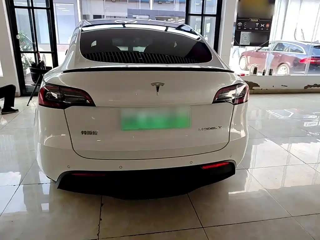 Tesla Model Y — миниатюра 6