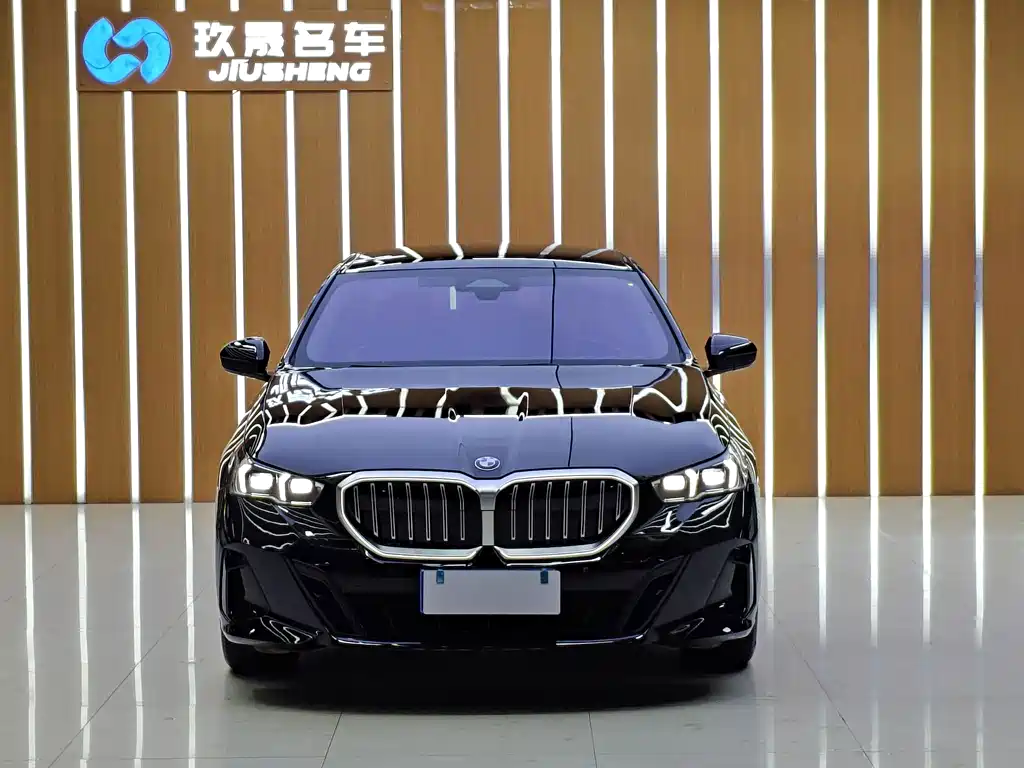 BMW 5 Series (Import) — миниатюра 2