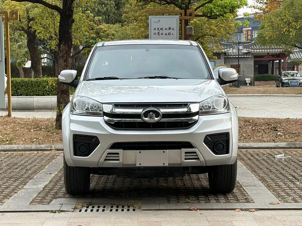 GREAT WALL FENGJUN 5