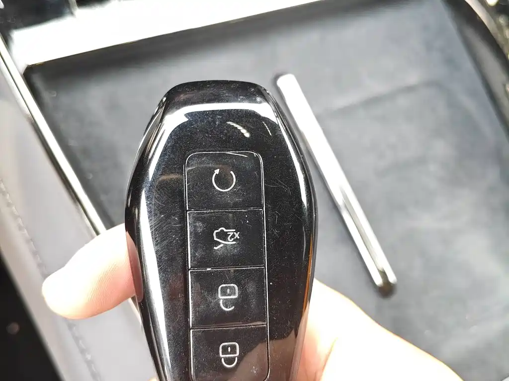 Denza Denza Z9 — миниатюра 9