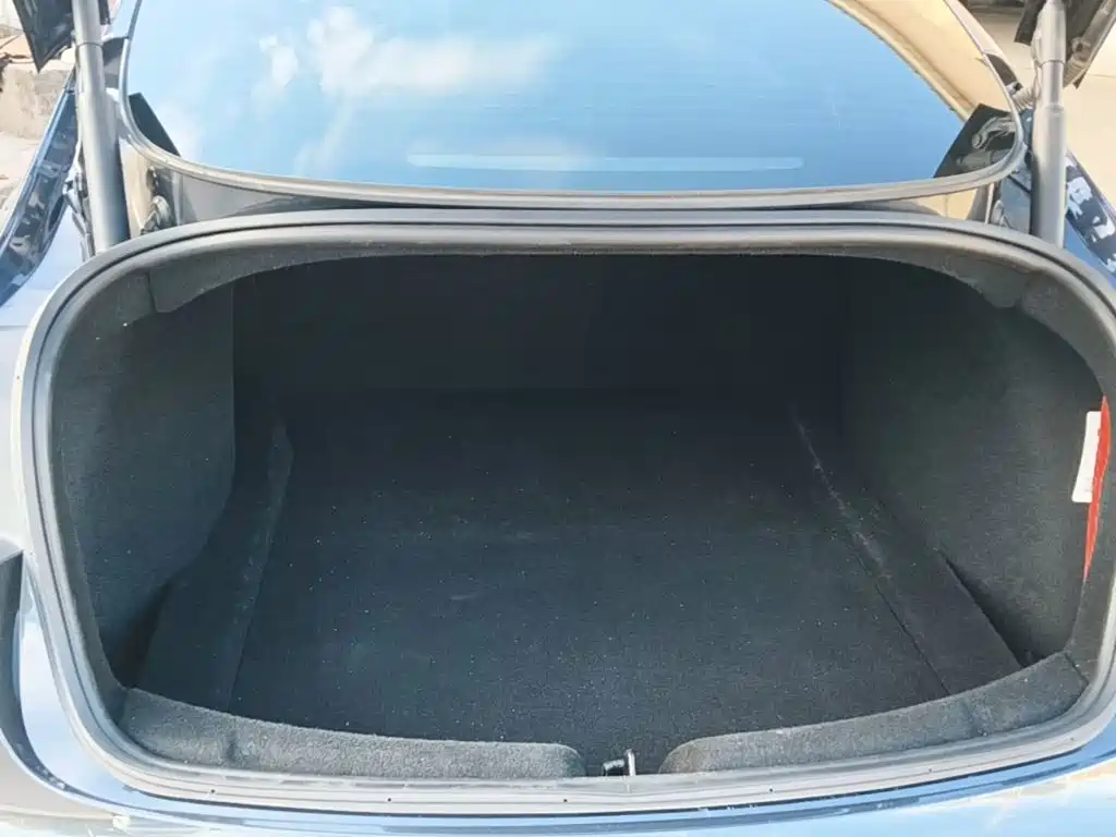 Tesla Model 3 — миниатюра 19