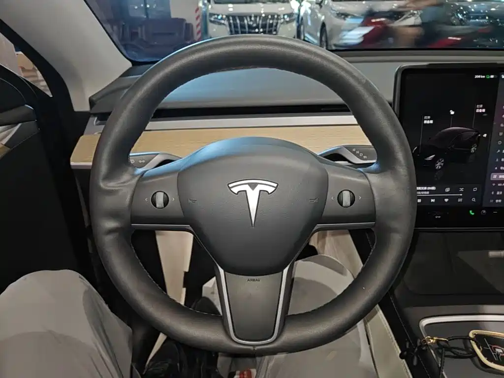 Tesla Model Y — миниатюра 11