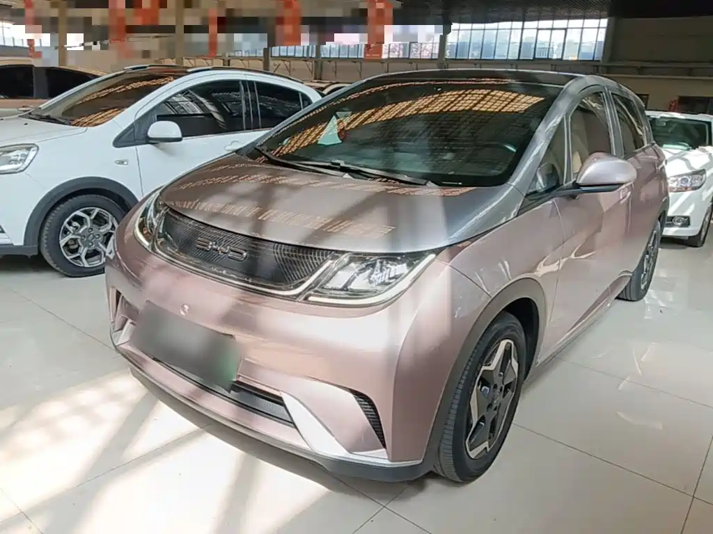 BYD Dolphin — миниатюра 2