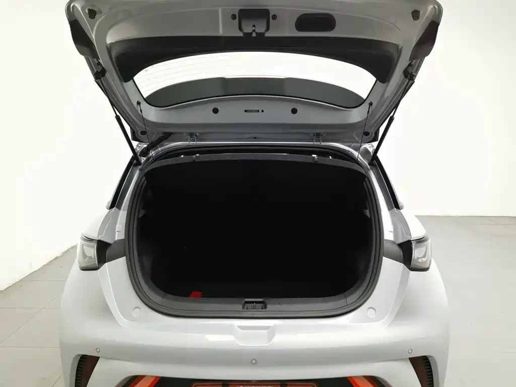 BYD Dolphin — миниатюра 16