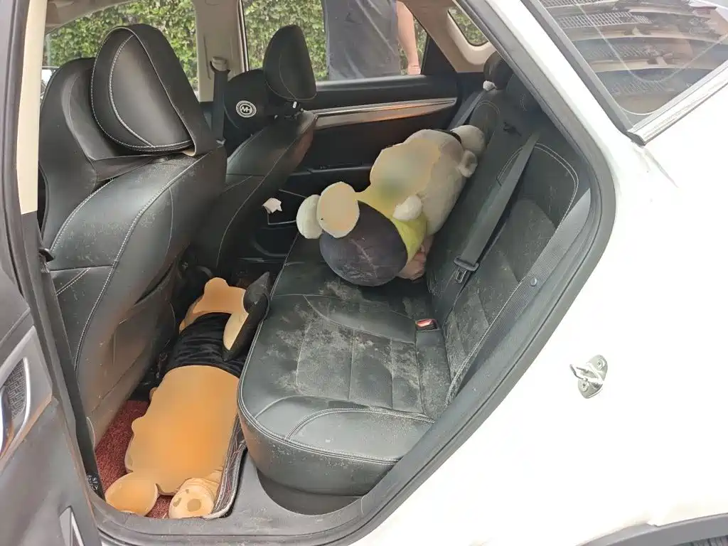 Geely Emgrand GS — миниатюра 13