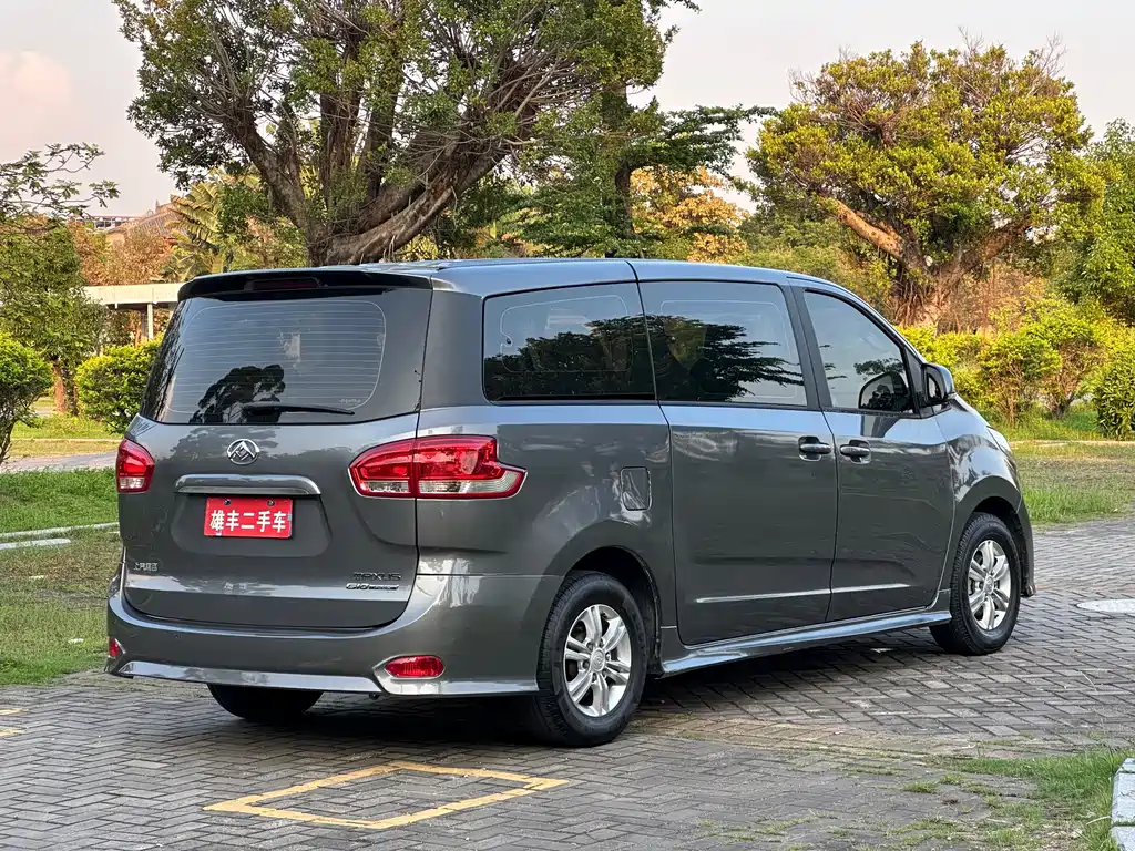 Maxus G10 PLUS 2.0T Auto Elite Edition China VI, фото 6