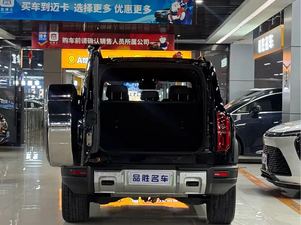 FANG CHENG BAO LEOPARD 5