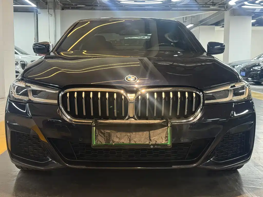 BMW 5 SERIES NEW ENERGY