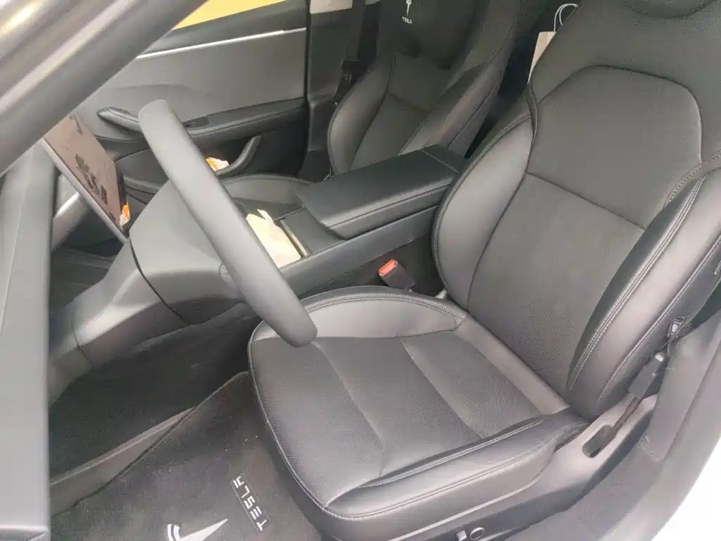 Tesla Model 3 — миниатюра 11