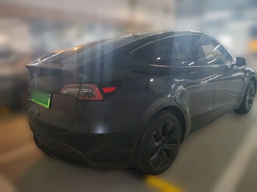 Tesla Model Y — миниатюра 4