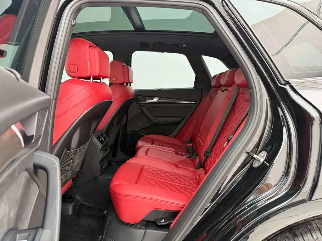 Audi SQ5 — миниатюра 19