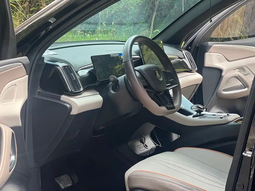 BYD Pro New Energy - фото 15