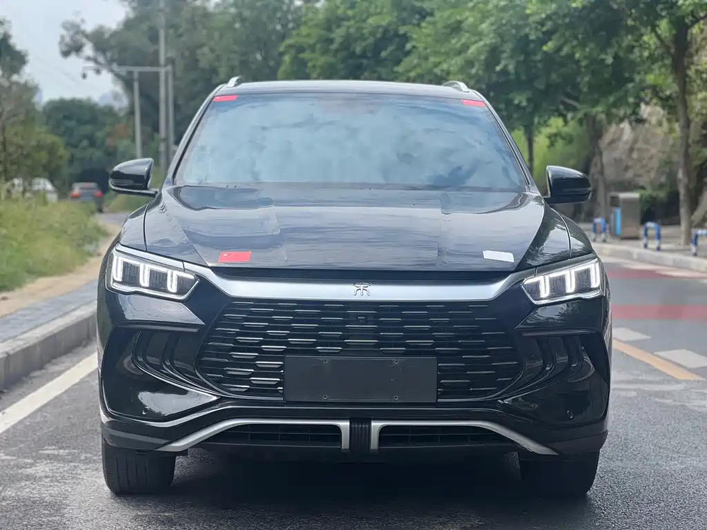 BYD Pro New Energy - фото 19