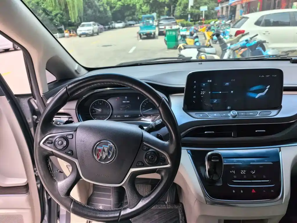 Buick GL8 — миниатюра 6