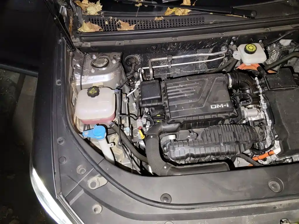 BYD Pro New Energy — миниатюра 20