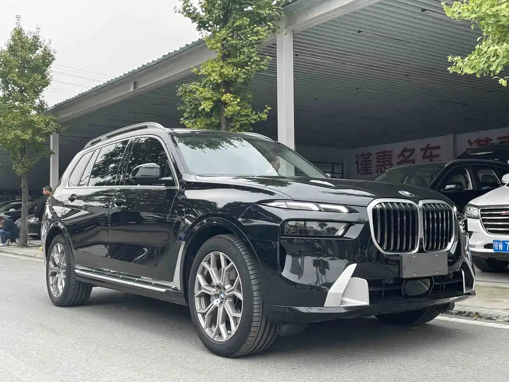 BMW X7 — миниатюра 15