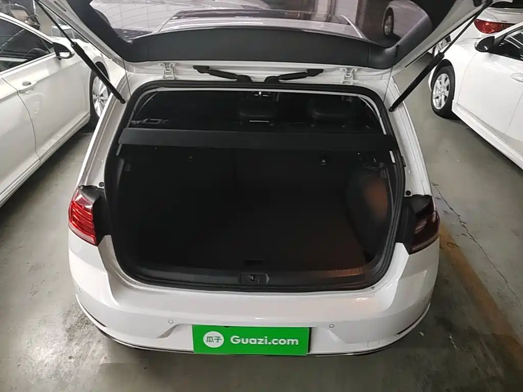 Volkswagen Golf — миниатюра 19