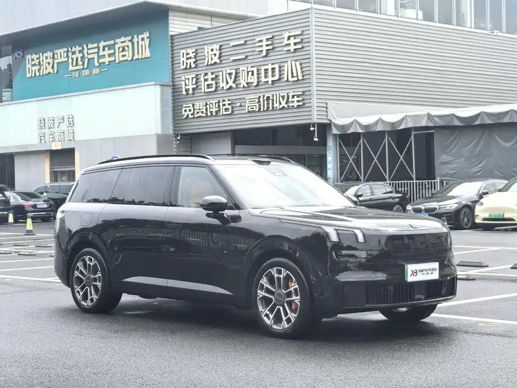 Lynk & Co Рука 900. — миниатюра 3