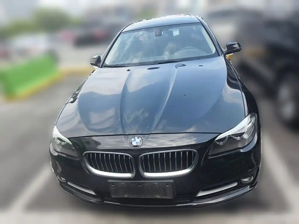 BMW 5 Series — миниатюра 5