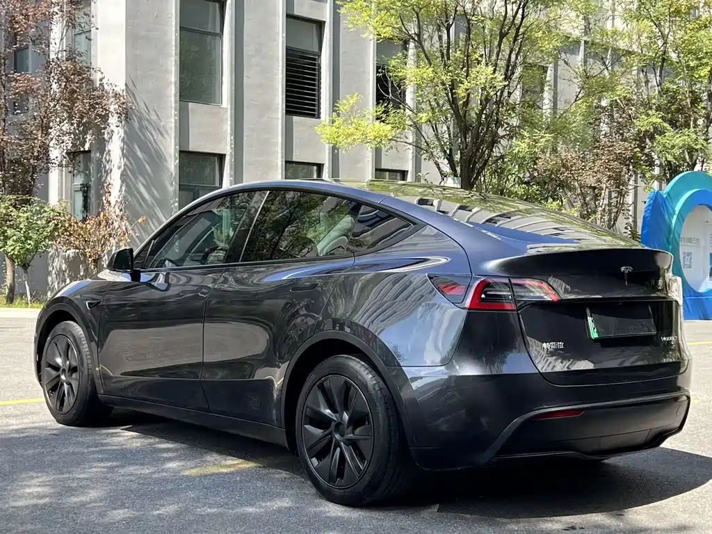 Tesla Model Y — миниатюра 9
