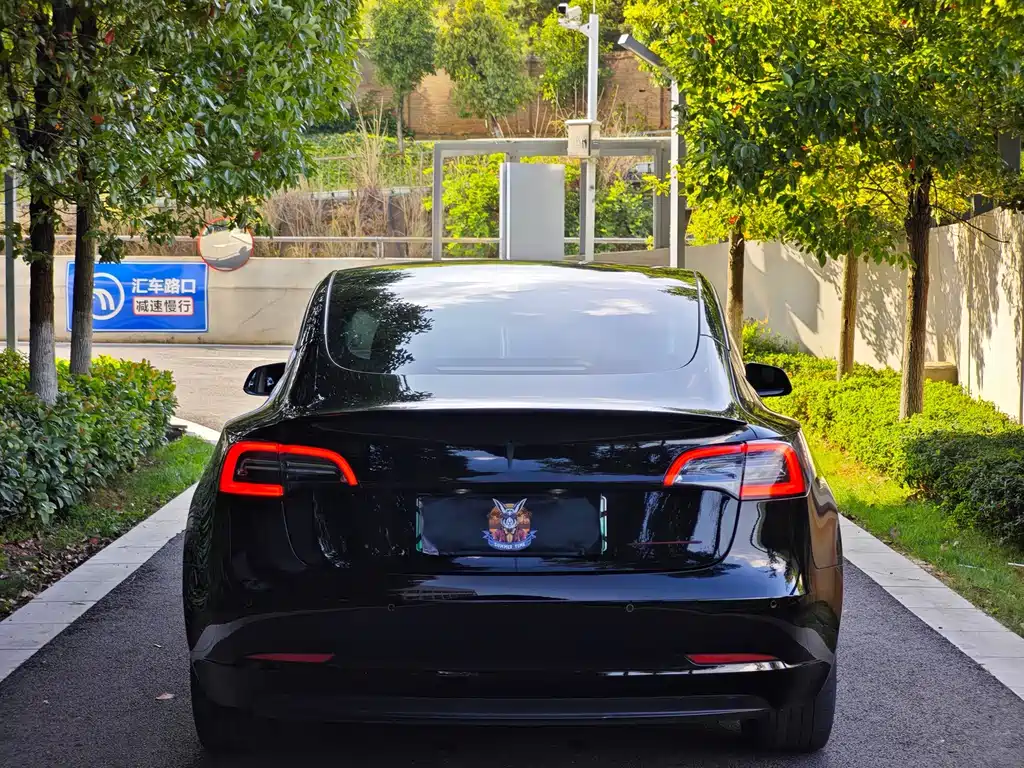Tesla Model 3 — миниатюра 5