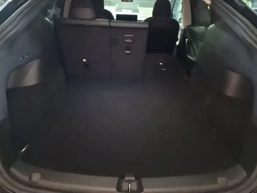 Tesla Model Y — миниатюра 19