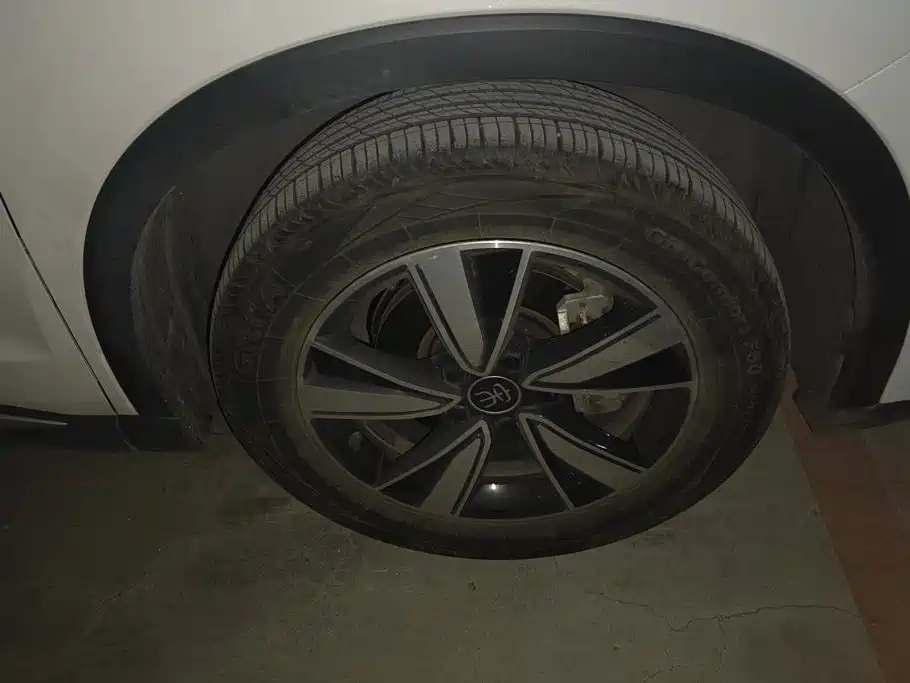 BYD Pro New Energy — миниатюра 6